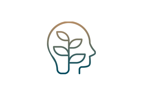 Modèle site professions médicales et para-médicales modèle site web secteur medical et paramédical